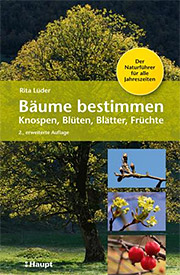 Flexobroschur, 13,8 x 21 cm, 788 g Bäume bestimmen