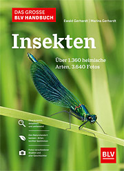 Buch gebunden, 535 Seiten Das grosse BLV Handbuch Insekten