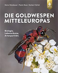 Buch, gebunden Die Goldwespen Mitteleuropas