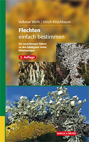 Buch, gebunden Flechten einfach bestimmen