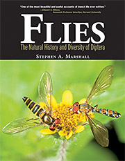 Buch gebunden mit Umschlag Flies - The Natural History and Diversity of Diptera