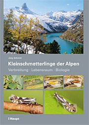 Buch, gebunden Kleinschmetterlinge der Alpen