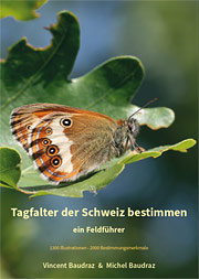 Buch, Softcover, ca. 225 Seiten Tagfalter der Schweiz bestimmen - Ein Feldführer