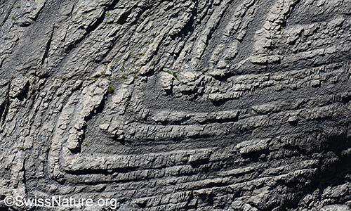 Falten in einer Felswand mit geschichtetem Gestein.