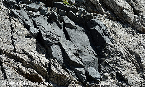 Mehr als 1m breiter Gang im Gebirge. Das Ganggestein ist ein Lamprophyr.