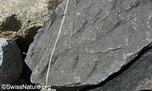 Calcitader in Felsblock aus Kalkgestein.