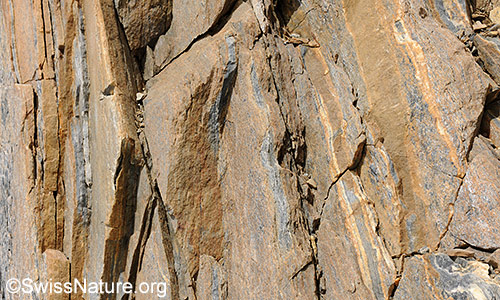 Bündnerschiefer im Gelände.
