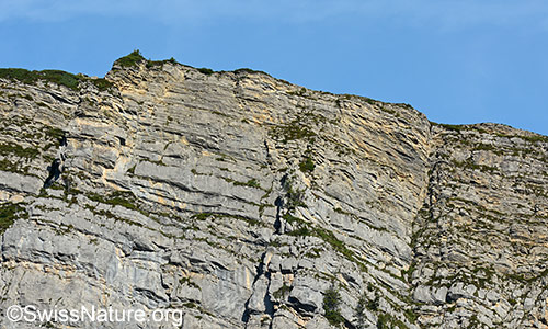 Felswand mit deutlicher Schichtung.