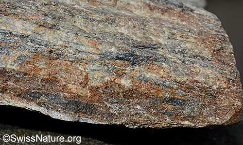 Metamorphit mit deutlicher Schieferung.