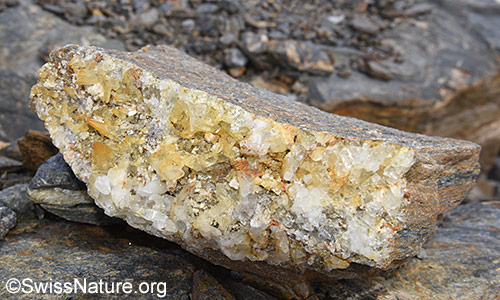 Ca. 20cm breites Stück einer Kluftwand aus einer Zerrkluft, an welcher Bergkristalle wachsen konnten. Binntal, Wallis
