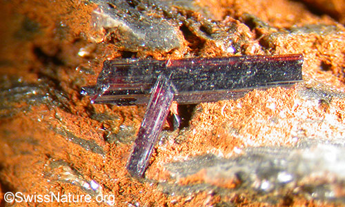 Rutilnadeln. Länge: 5mm. Binntal, Wallis