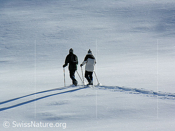 Foto: Zwei Schneeschuhwanderer unterwegs in unberührtem Pulverschnee.