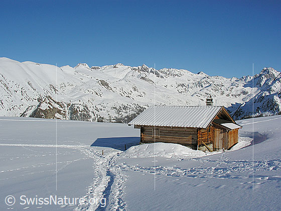 Foto: Verschneite Binntaler Berglandschaft mit Alphütte und Schneeschuhspuren.