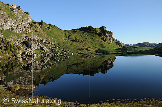 Foto: Ruhiger Bergsee in grüner Umgebung. Blick über die offene Wasserfläche des Seebergsees mit Spiegelung der Alpweiden und der mit Felsen durchsetzten Berghänge.