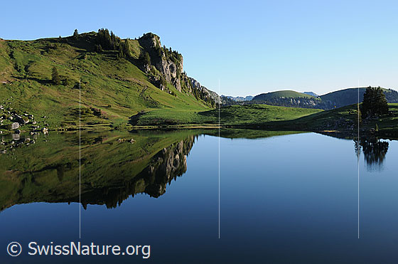Foto: Spiegelbild im Seebergsee. Der ruhige Bergsee ist umgeben von grünen Alpweiden der Alp Seeberg.