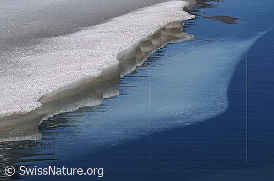 Foto: Eisscholle mit Spiegelung. Der abschmelzende Rand spiegelt sich auf der Wasseroberfläche. Im klaren Gewässer ist auch die unter Wasser liegende Eisschicht sichtbar.