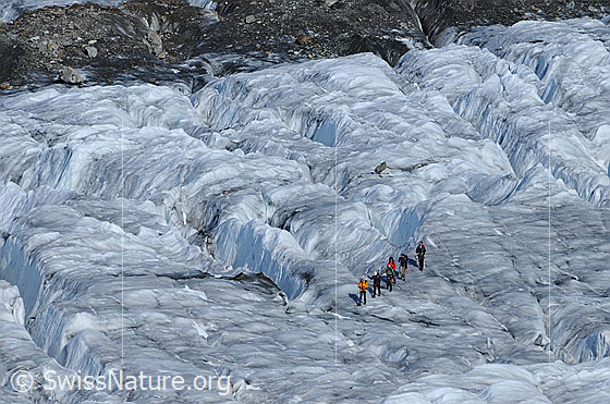 Foto: Seilschaft auf dem Gletscher. Die Bergsteiger sind in einer Spaltenzone des ausgeaperten Aletschgletschers unterwegs. Im Hintergrund ist ein kleiner Teil der Mittelmoräne zu sehen.