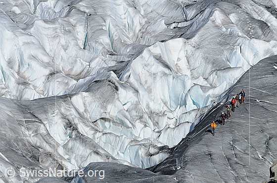 Foto: Gletscherwandern. Eine Gruppe Alpinisten ist einer Spaltenzone unterwegs. Der Gletscher ist ausgeapert.