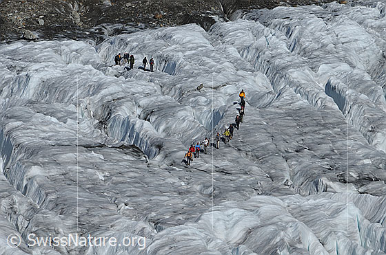 Foto: Menschen auf dem Aletschgletscher. Zwei Seilschaften queren eine Spaltenzone im ausgeaperten Gletscher.