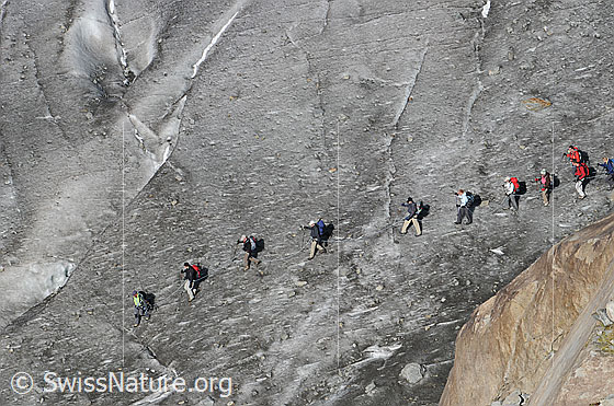 Foto: Outdoor: Gletscherwandern. 
Eine Gruppe Alpinisten ist auf dem Gletscher unterwegs.