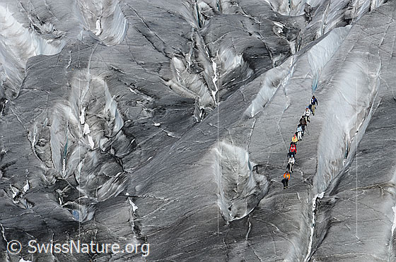 Foto: Gletscherwanderer auf dem ausgeaperten Eis des Aletschgletschers.
