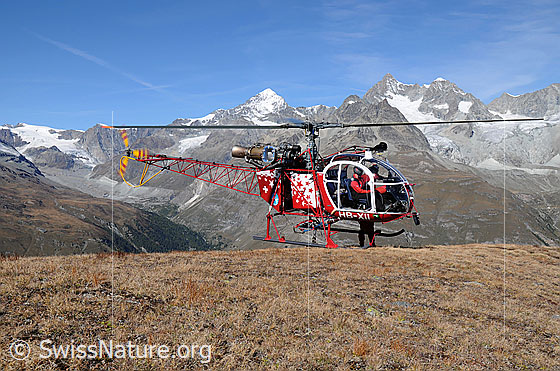 Foto: Helikopter vor Walliser Alpen. Der Pilot lässt den Hubschrauber an der Hangkante schweben, damit der Flughelfer einsteigen kann.