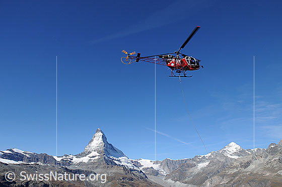 Foto: Hubschrauber vor Walliser Bergkulisse mit Matterhorn. Der Helikopter der Air Zermatt befindet sich auf einem Transportflug.