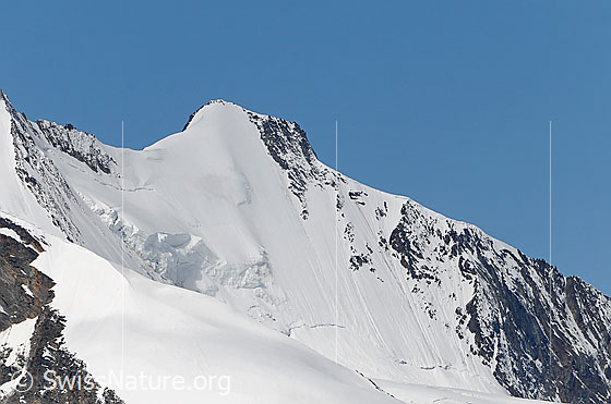 Foto: Hohberghorn von NNE mit Hängegletscher in der Eiswand.