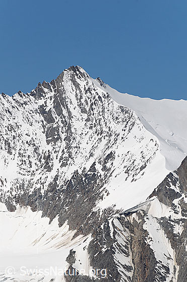 Foto: Nadelhorn von E.