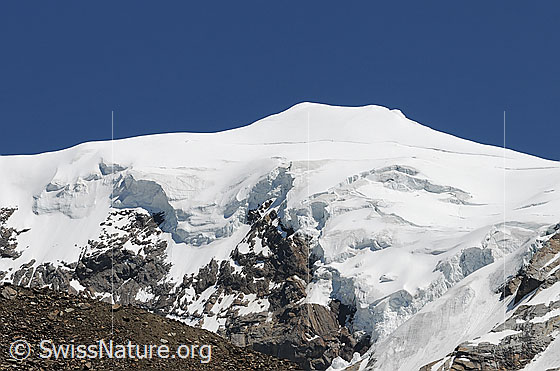 Foto: Weissmies von Kreuzboden mit den Abbrüchen des Triftgletschers.