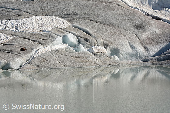 Foto: Formen in der Natur.
Das Eis einer Gletscherzunge, welche in einen See mündet, spiegelt sich im Gletschersee.