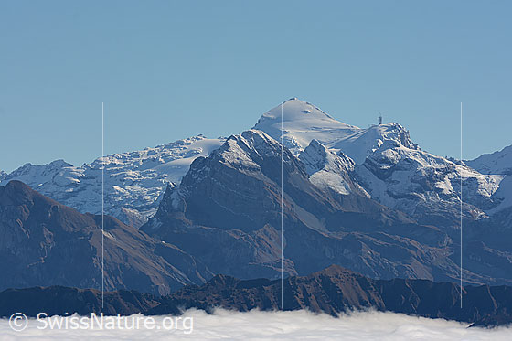 Foto: Titlis vom Rickhubel.