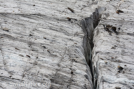 Foto: Querspalte im Tälligletscher.