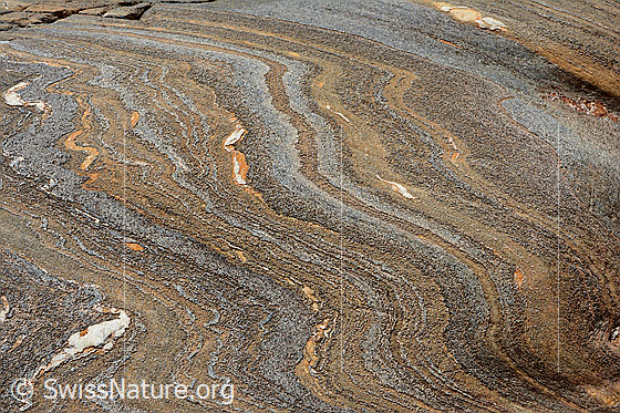 Foto: Schöne Zeichung in Gletscherschliff aus Bündnerschiefer.