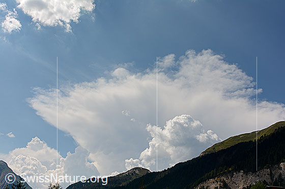 Foto: Zerfallende Ambosswolke (Cumulonimbus).