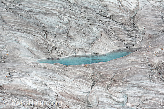 Foto: Supraglazialer See auf dem Grossen Aletschgletscher.

