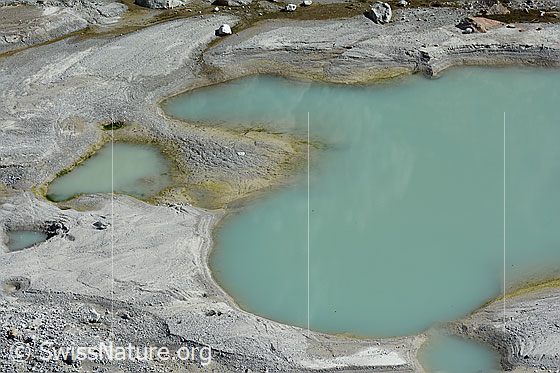 Foto: Tümpel im Gletschervorfeld.