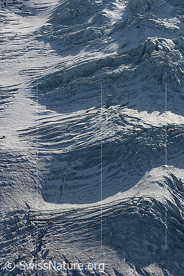 Foto: Spaltenzonen im Blüemlisalpgletscher.