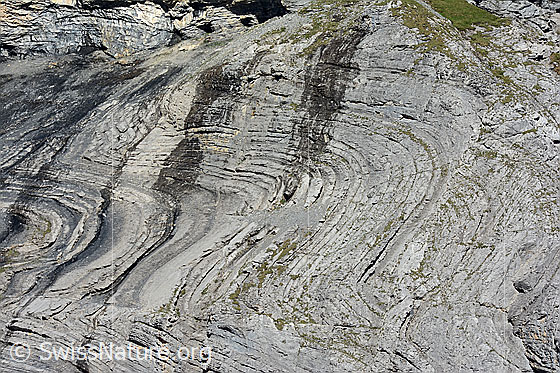 Foto: Felswand mit grossflächiger Faltung von Gesteinsschichten.

