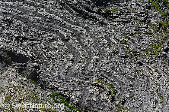 Foto: Felswand mit deformierter Schichtung.


