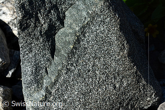 Foto: Ein bis ca. 10cm breiter Gang aus Lamprophyr in einem Felsblock aus Diorit. Diorit gehört zu den Plutoniten (Magmatische Gesteine).

