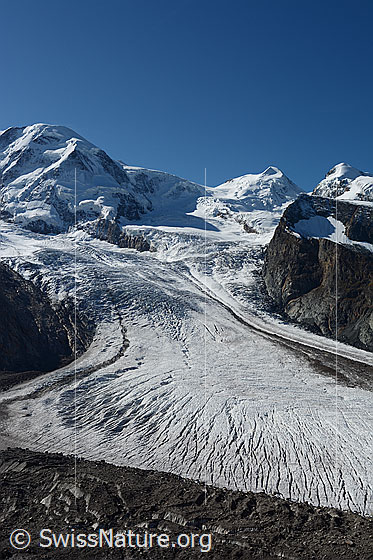 Foto: Grenz- und Gornergletscher. Ca in der Bildmitte sind ein paar Längsspalten zu sehen.