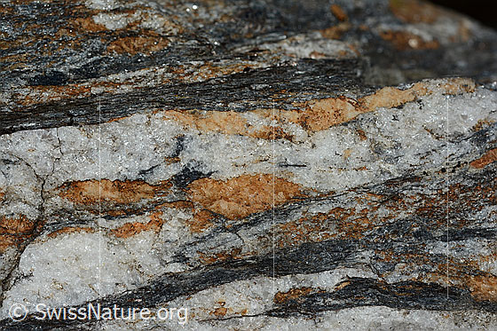 Foto: Einblick in den Querschnitt eines Kalkglimmerschiefer. Die dunklen Schieferungsflächen sind aus Glimmermineralien und nur wenige Millimeter dick. Die hellen Lagen messen mehrere Zentimeter und sind aus Quarz. Die gelbbraunen Teile bestehen aus Calzit.
