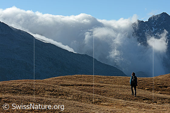 Foto: Nebelfall über dem Albrunpass.