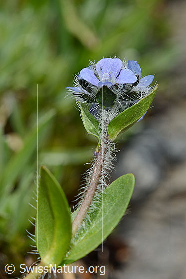 Photo: 