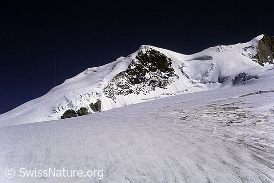 Photo: Bishorn and Turtmann Glacier. Photo from slide.