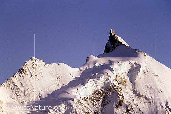 Foto: Zinalrothorn mit Schulter und Nordwand. Aufnahme ab Dia.