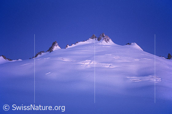 Foto: Aiguille du Tour und Plateau du Trient. Aufnahme ab Dia.