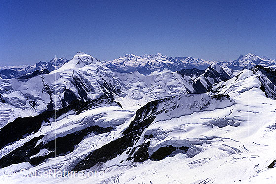 Foto: Blick vom Mönch zum Aletschhorn und zu den Walliser Alpen. Im Vordergrund Grosser Aletschfirn, Kranzberg, Gletscherhorn und Jungfraufirn. Aufnahme ab Dia.