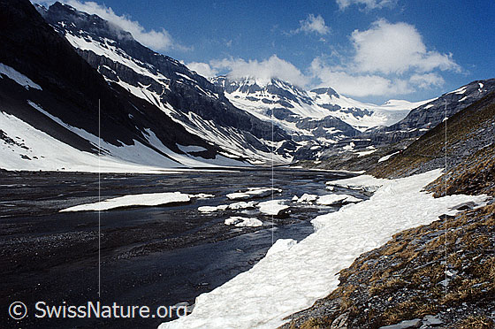 Foto: Schwemmlandschaft auf dem Lämmerenboden mit Wasserläufen und Schneefeldern. Im Hintergrund sind Lämmerengletscher, Schneehorn in Quellwolken gehüllt, Kleines Schneehorn, Lämmerenjoch, Wildstrubelgletscher und Wildstrubel zu sehen. Aufnahme ab Dia.